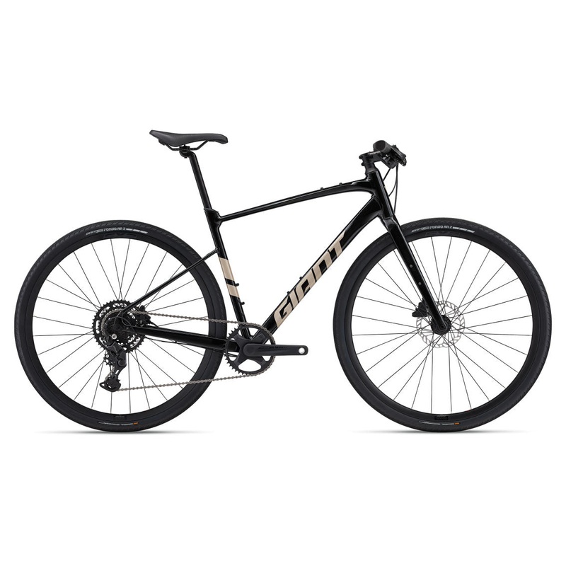 Giant FastRoad AR 2|Panther|M|ML|L|XL