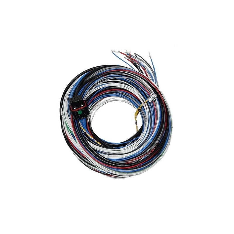 FuelTech FT450/550 A Harness 20′