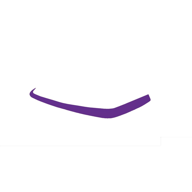 Dominator Late Model Valance Cover Purple