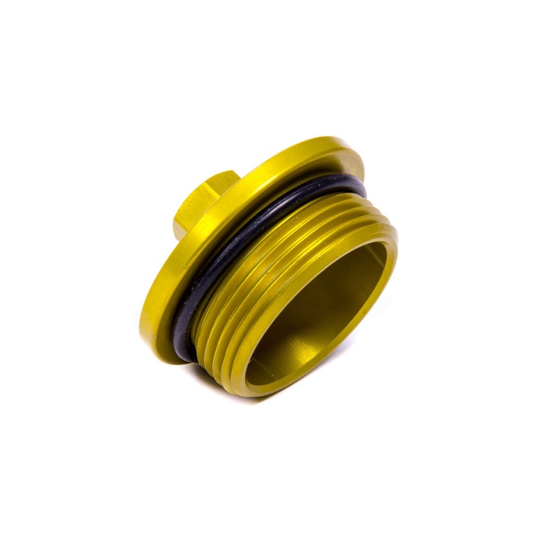 DMI Large Inspection Plug