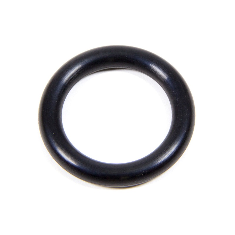 Bert Transmissions O-Ring Large for 61K