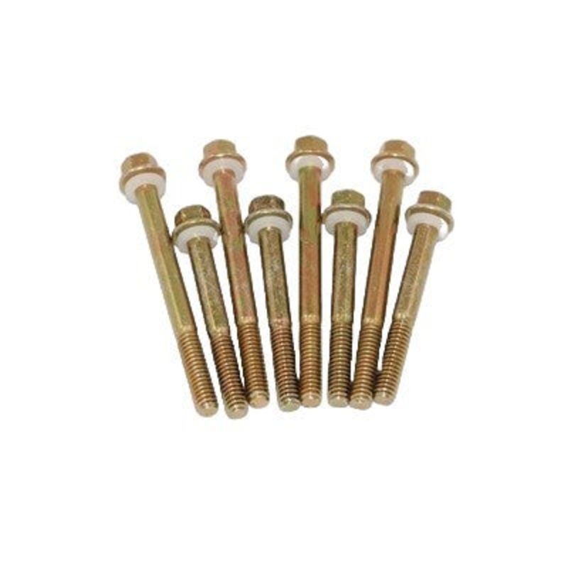 AED Performance 4160 Fuel Bowl Screws (8pk) 5250
