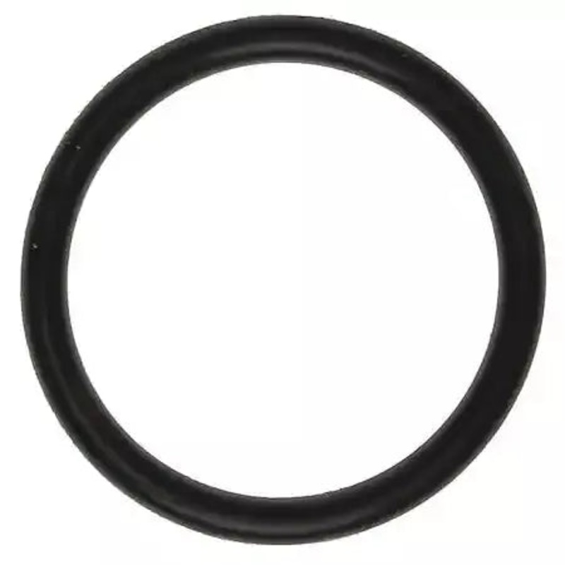 Clevite Oil Filter Adapt O-Ring 20-22 Hemi 6.4L